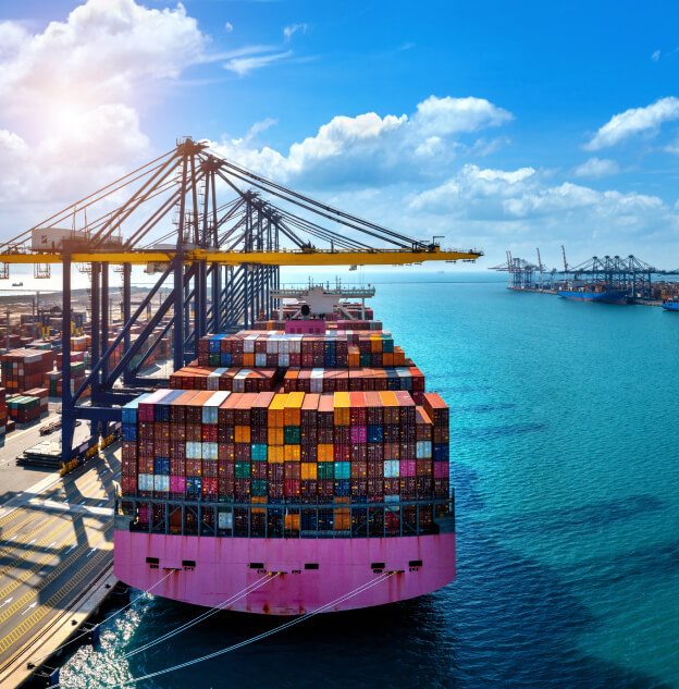 Maritime consultants working on port development